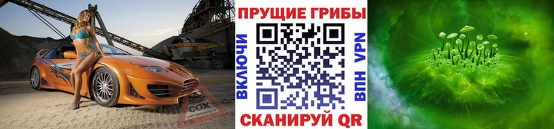 Псилоцибиновые грибы Magic Shrooms  omg как зайти  Бирюч 